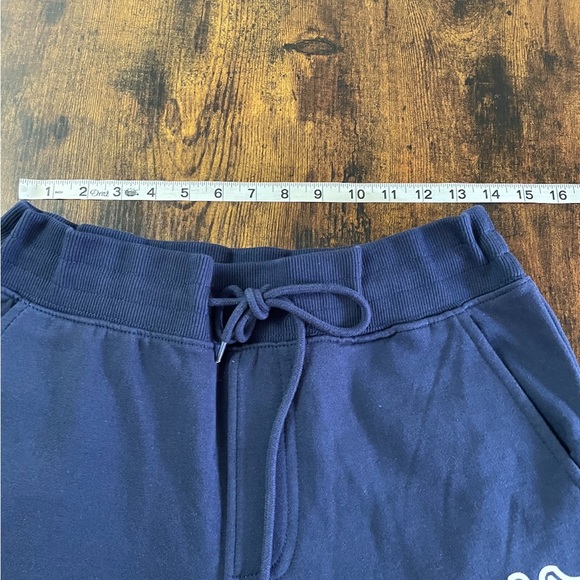 True Religion Blue Joggers - Picture 3 of 14